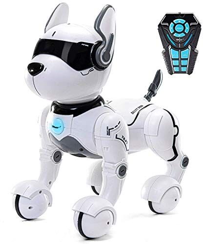 Robot chien interactif