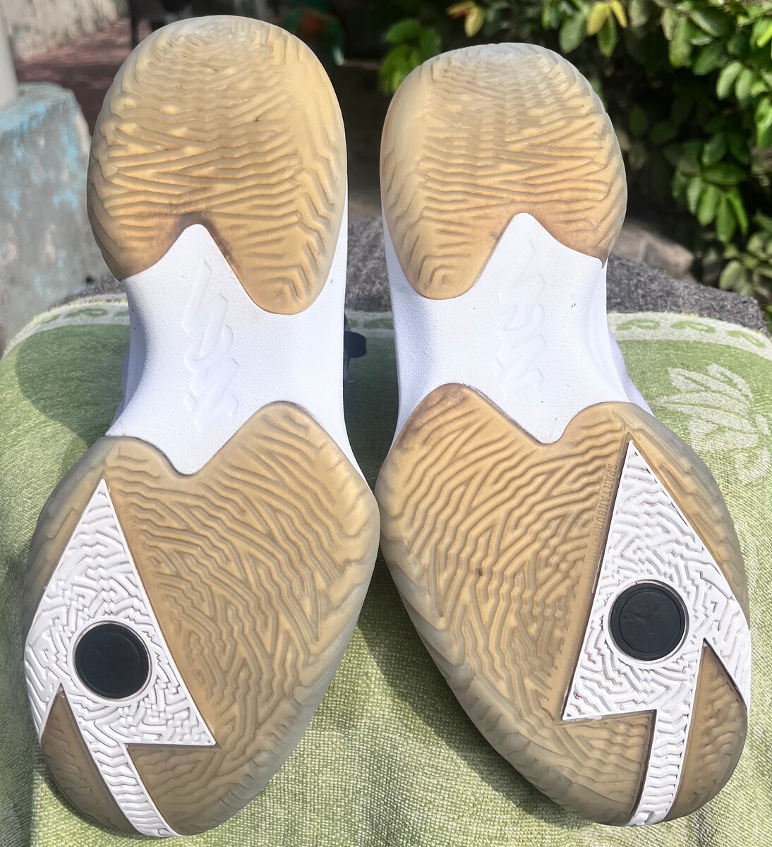 JordanAir Jordan Zion 1 PF 'G