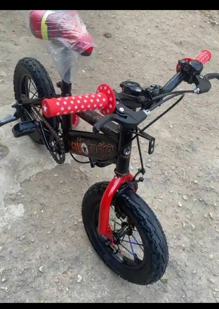 Vélo Enfant avec Roues Stabil