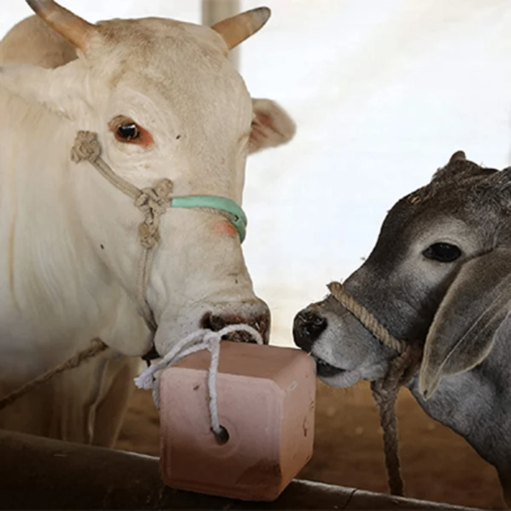 Blocs de sel Multi-vitaminés