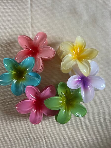 Pinces à cheveux fleurs colorées