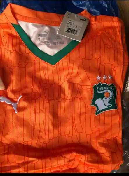 Maillot Côte d'Ivoire Puma