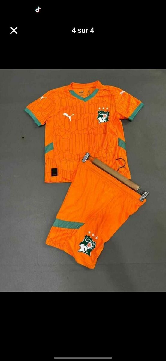 Maillot Équipe Nationale Puma