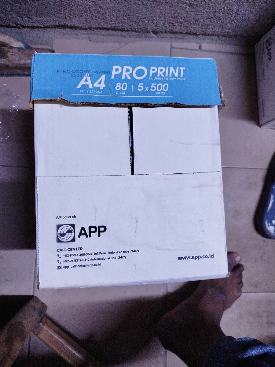 Papier A4 Pro Print 80g