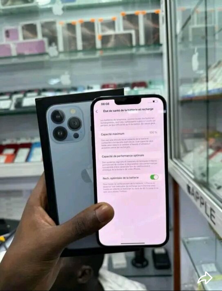 iPhone 13 Pro Max 256Go