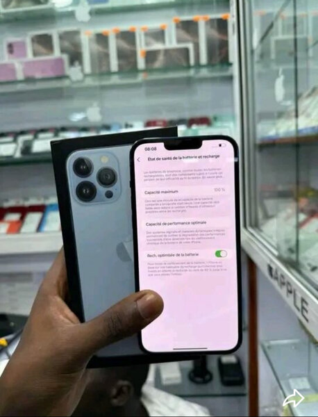 iPhone 13 Pro Max 256Go