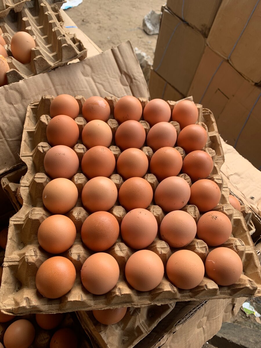 Œufs frais fermiers