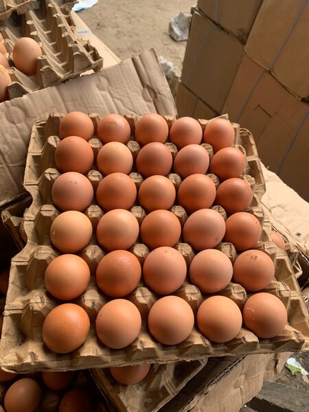 Œufs frais fermiers
