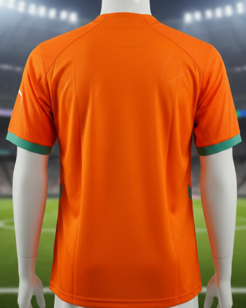 Maillot de Foot Puma Orange pour Homme