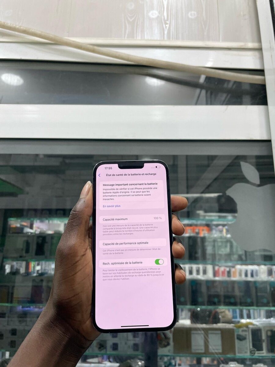 iPhone 13 Pro Max Bleu