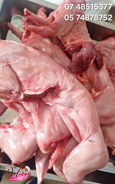 Lapin frais