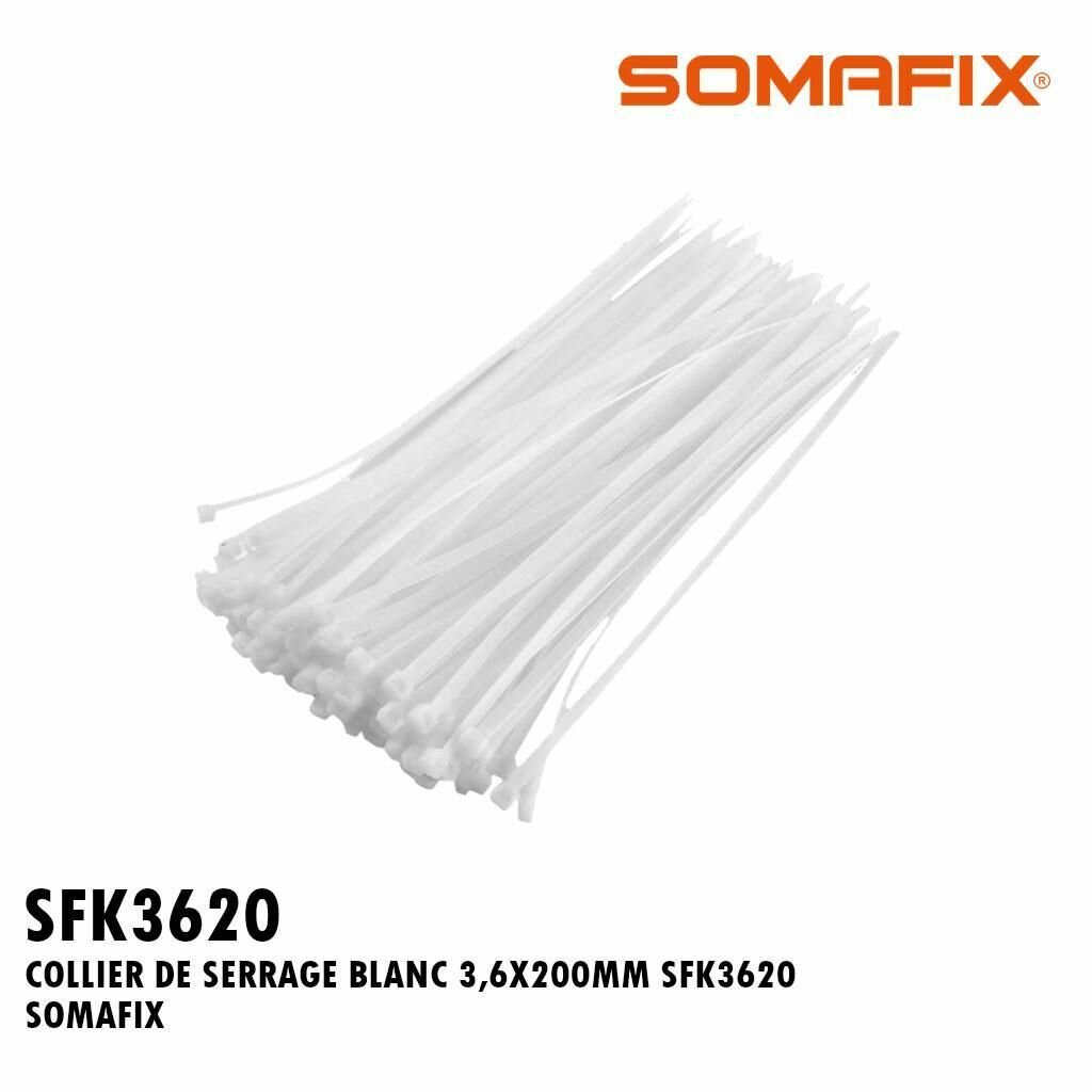 Colliers de Serrage Assortis 200pcs