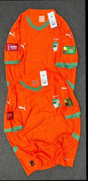 Maillot Côte d'Ivoire Puma