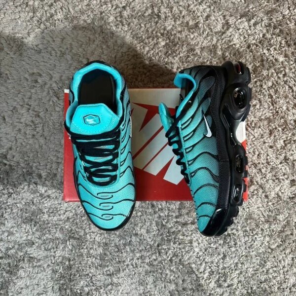 Baskets air Max tn plus