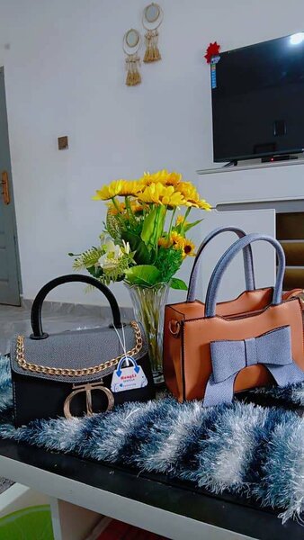 Sacs à main élégants pour femmes