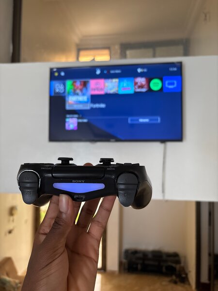 Console PS4 Slim