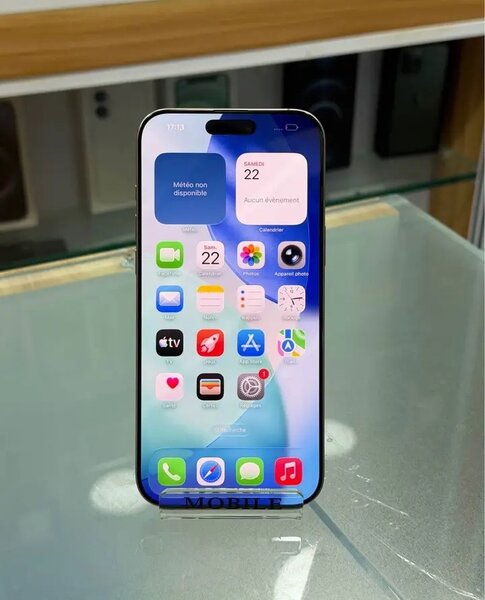 iPhone 12 Pro Max Débloqué