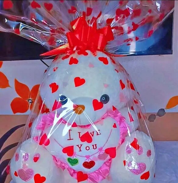 Ours en peluche pour la Saint-Valentin