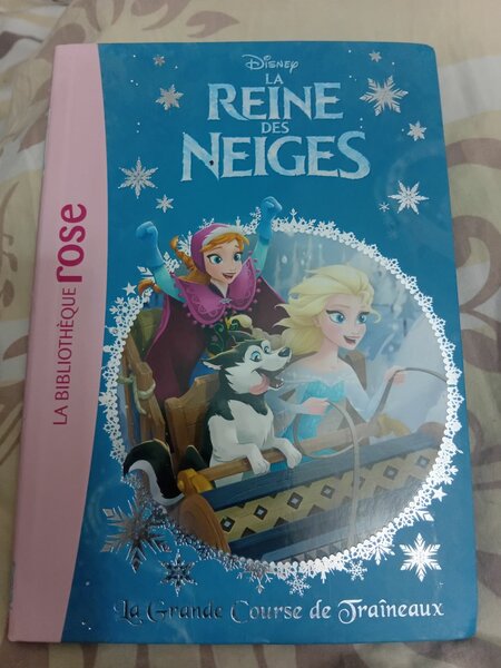 Livre La Reine des Neiges