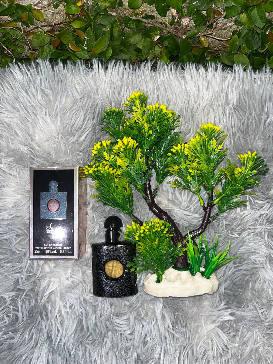 Coffret de Parfums Luxe 25ml