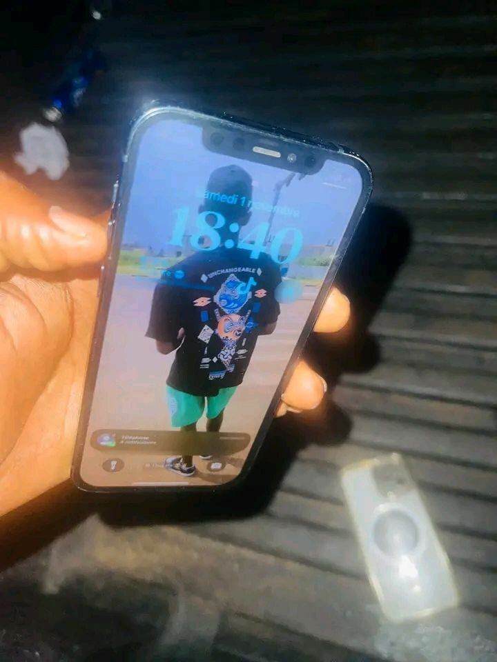 iPhone 12 Bleu Elegant