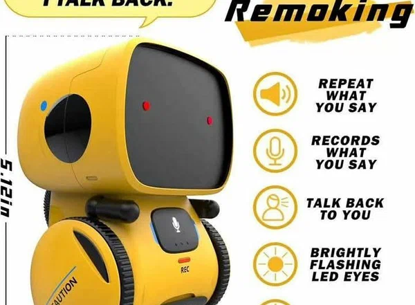 Robot interactif Remoking