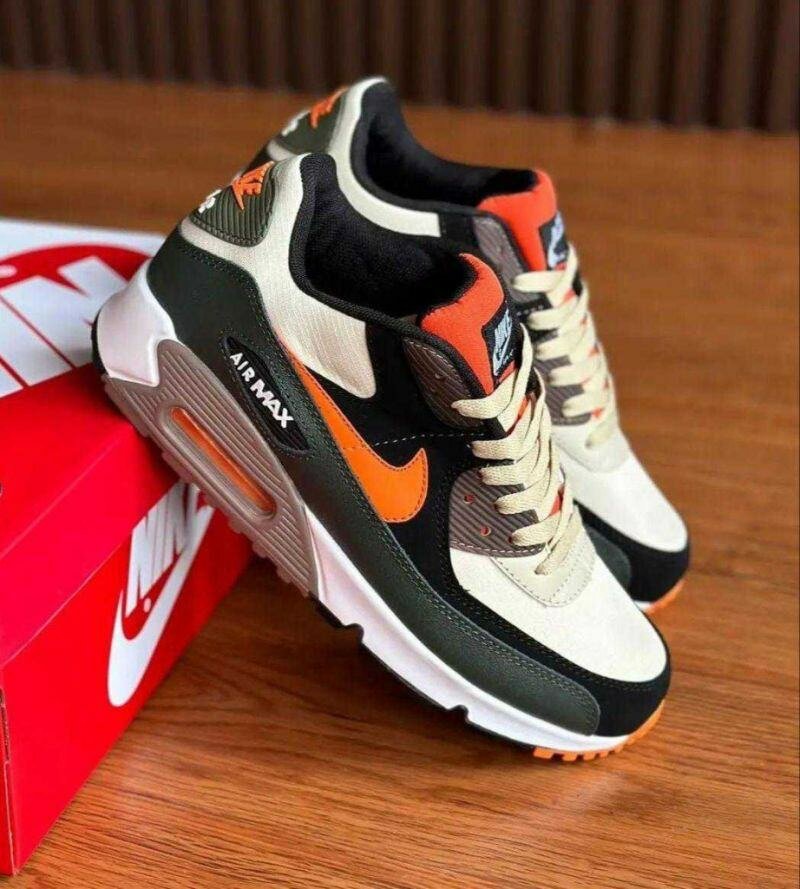 Chaussures Nike Air Max