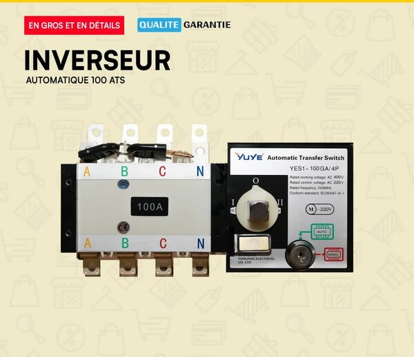 Inverseur Automatique 100A