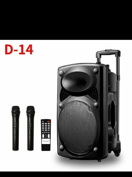 Enceinte Bluetooth portable D-14
