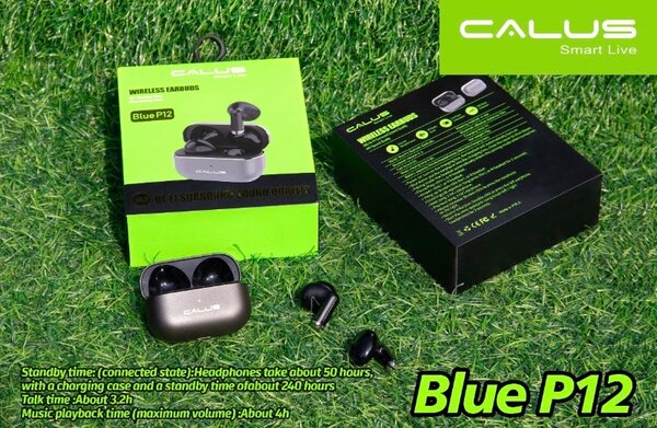 Écouteurs Bluetooth CALUS