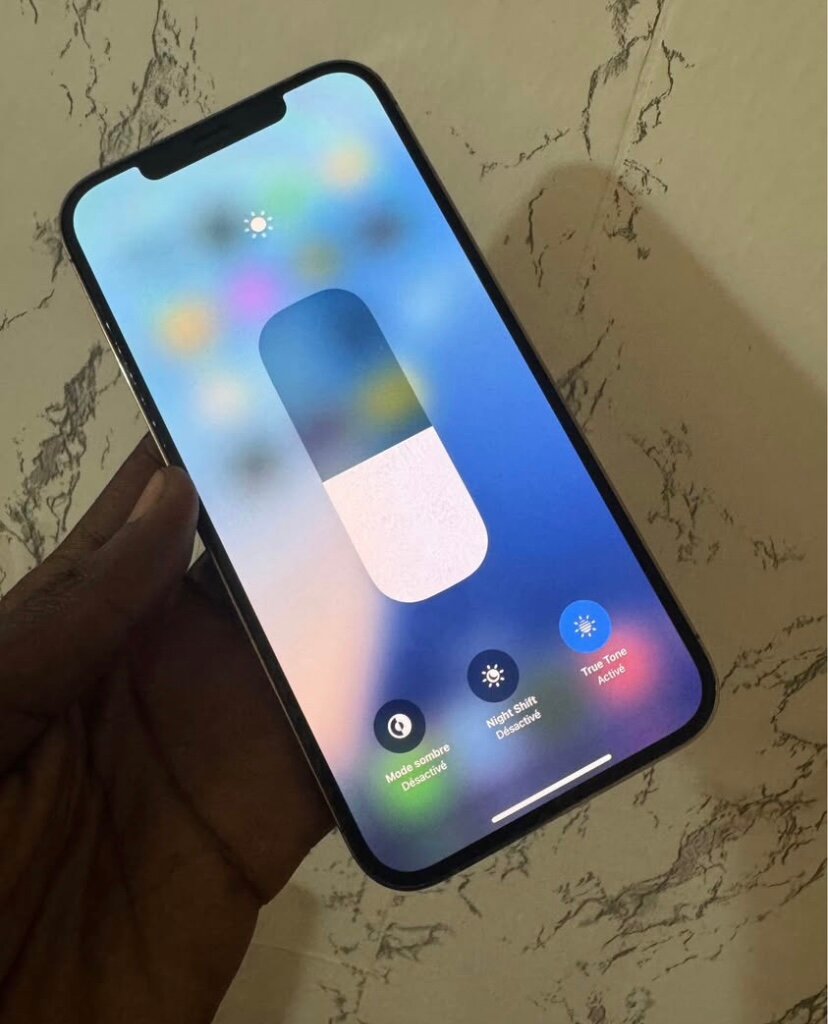 iPhone 12 Pro Max 128Go
