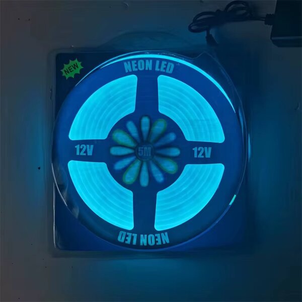 Bande LED néon multicolore 5M