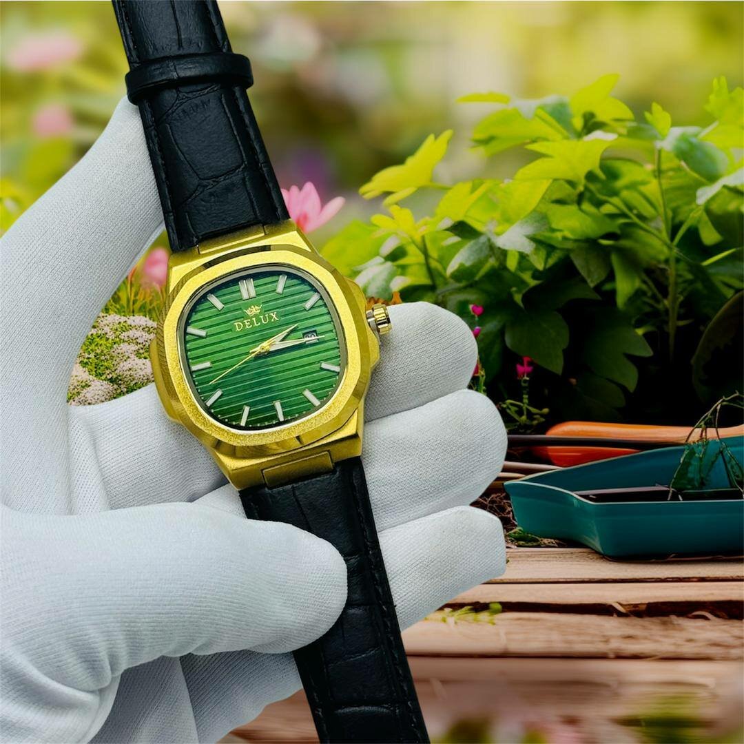 Montre élégante DeLux en cuir