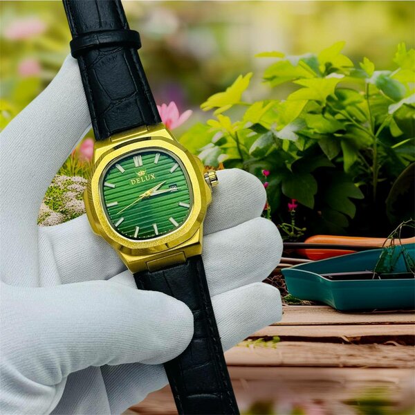 Montre élégante DeLux en cuir