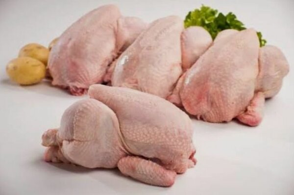 Poulet frais chaire bio entier