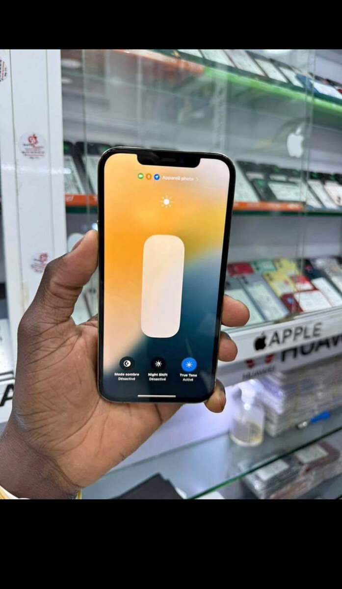 Smartphone Apple 256Go