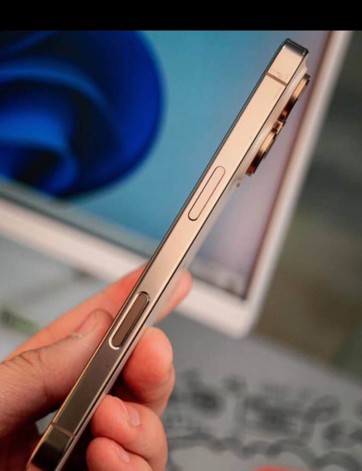 Apple iPhone Pro Max