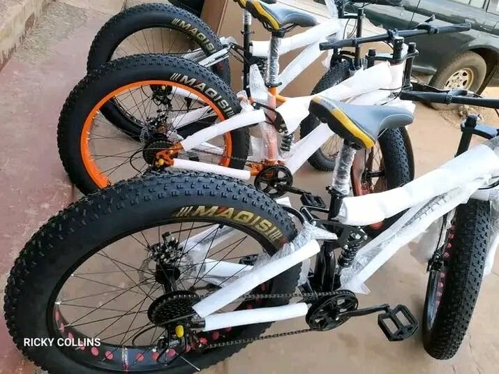 Vélo Fat Bike Tout Terrain