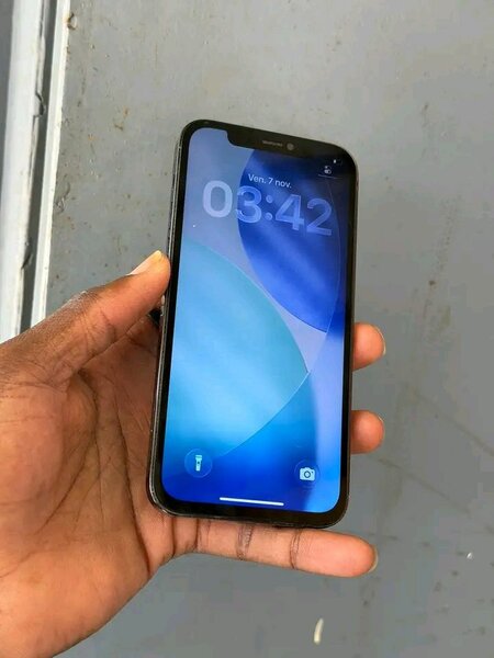 iPhone 12 Pro Max 256Go