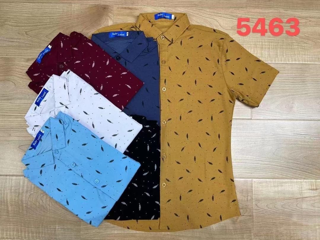 Chemises Homme Élégantes