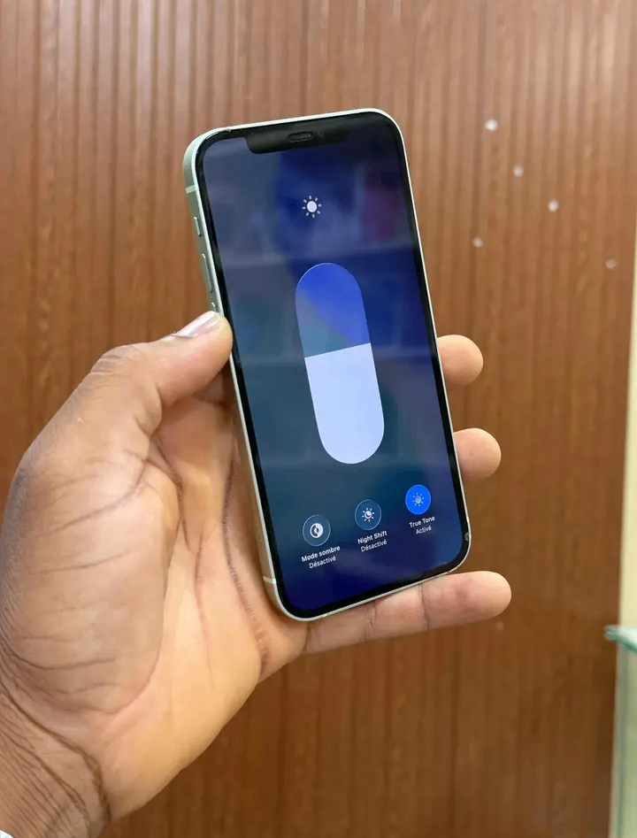 iPhone 12 Pro Max argent