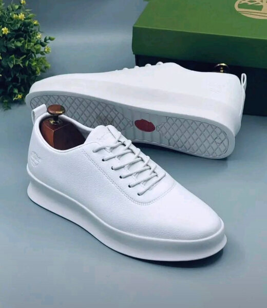 Timberland Baskets blanches