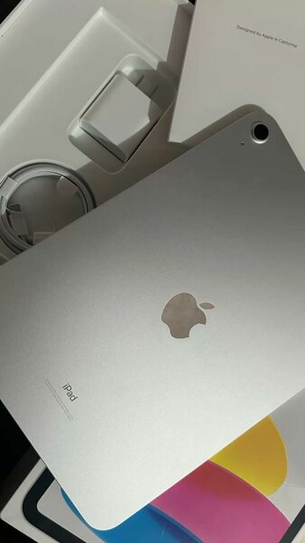 Apple iPad élégant et puissant