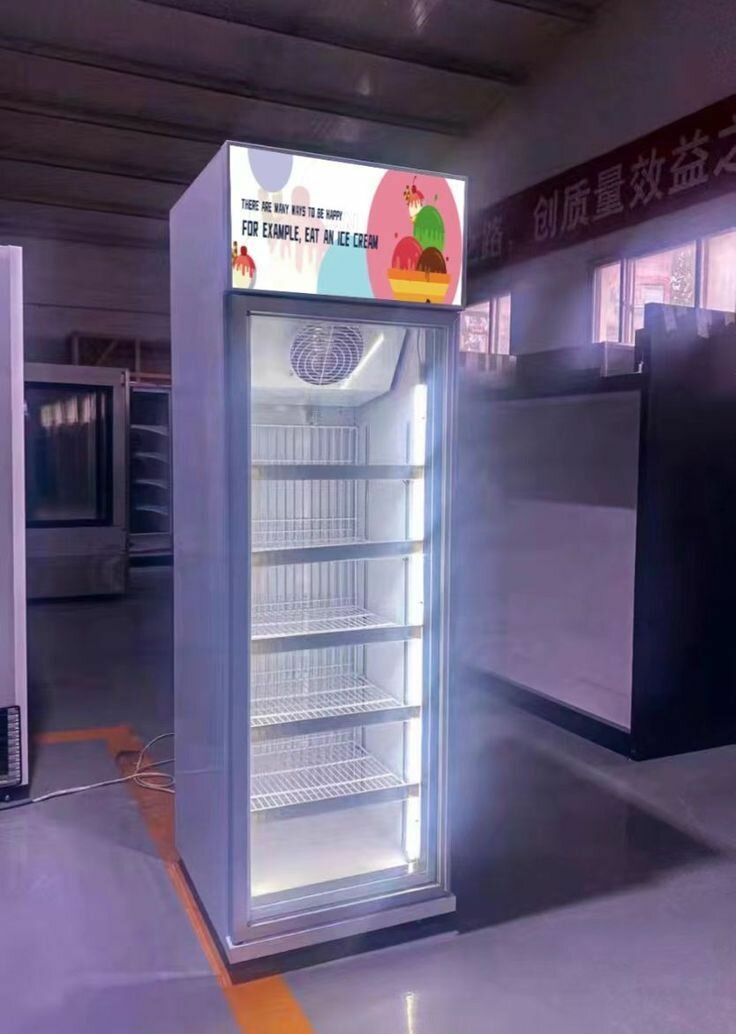 Vitrine Réfrigérée Professionnelle