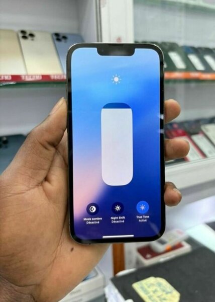 iPhone 13 Pro Max