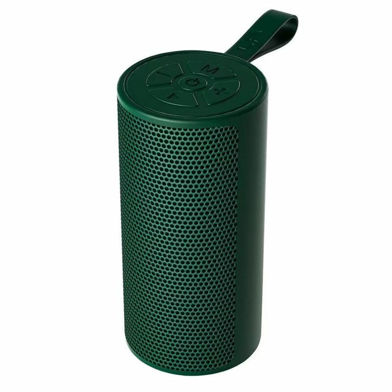Enceinte Bluetooth Portable