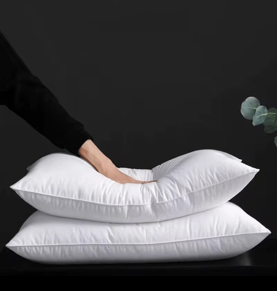 Oreiller blanc en plume confortable