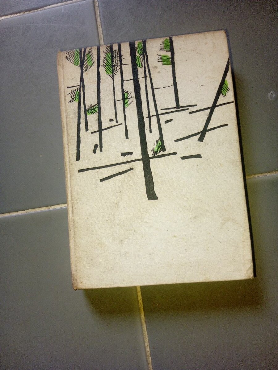 Roman ancien illustré