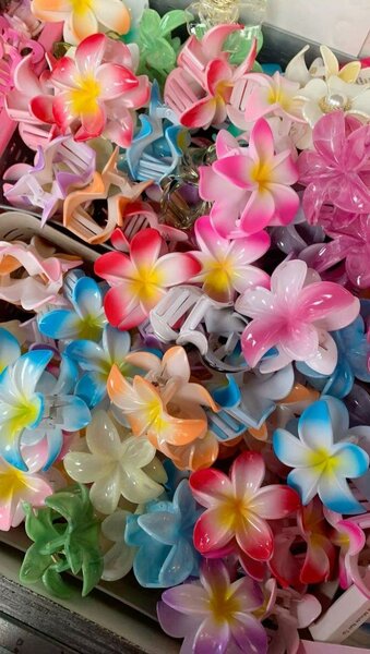 Lot de chouchous colorés