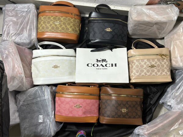 Sac à main Coach élégant